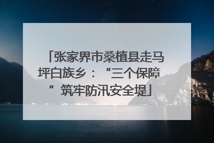 张家界市桑植县走马坪白族乡：“三个保障”筑牢防汛安全堤